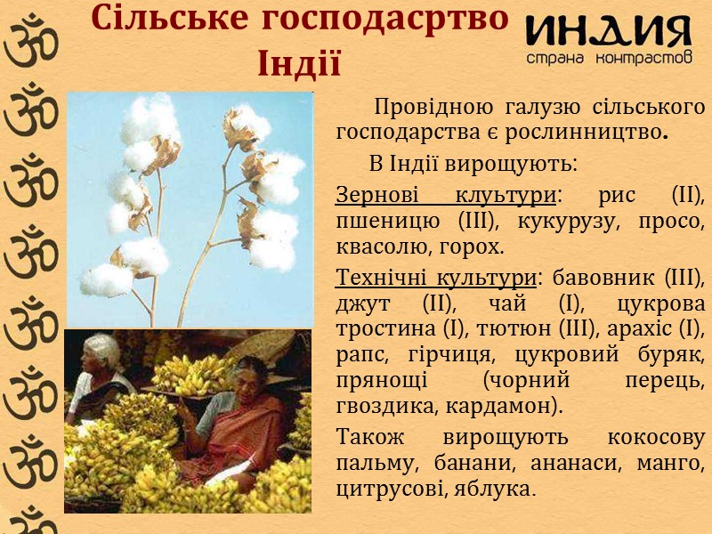 Сільське господасртво Індії       Провідною галузю сільського господарства є